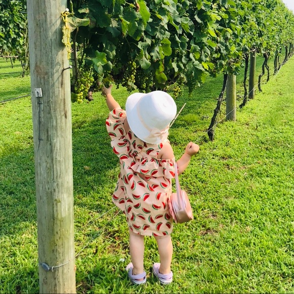 Janie and Jack watermelon summer dress ruffle cold shoulder size 2t - Picture 10 of 11